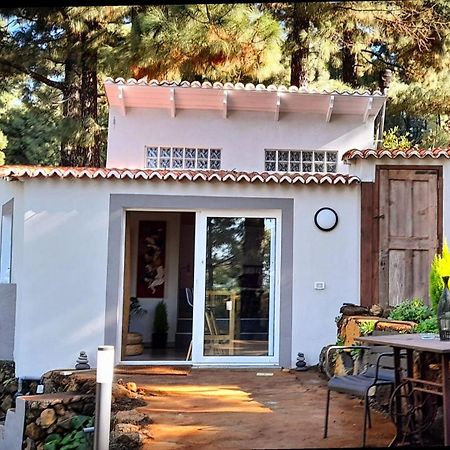 Casa Aguar: Acogedora Casa De Invitados En El Bosque Barrial Exterior foto