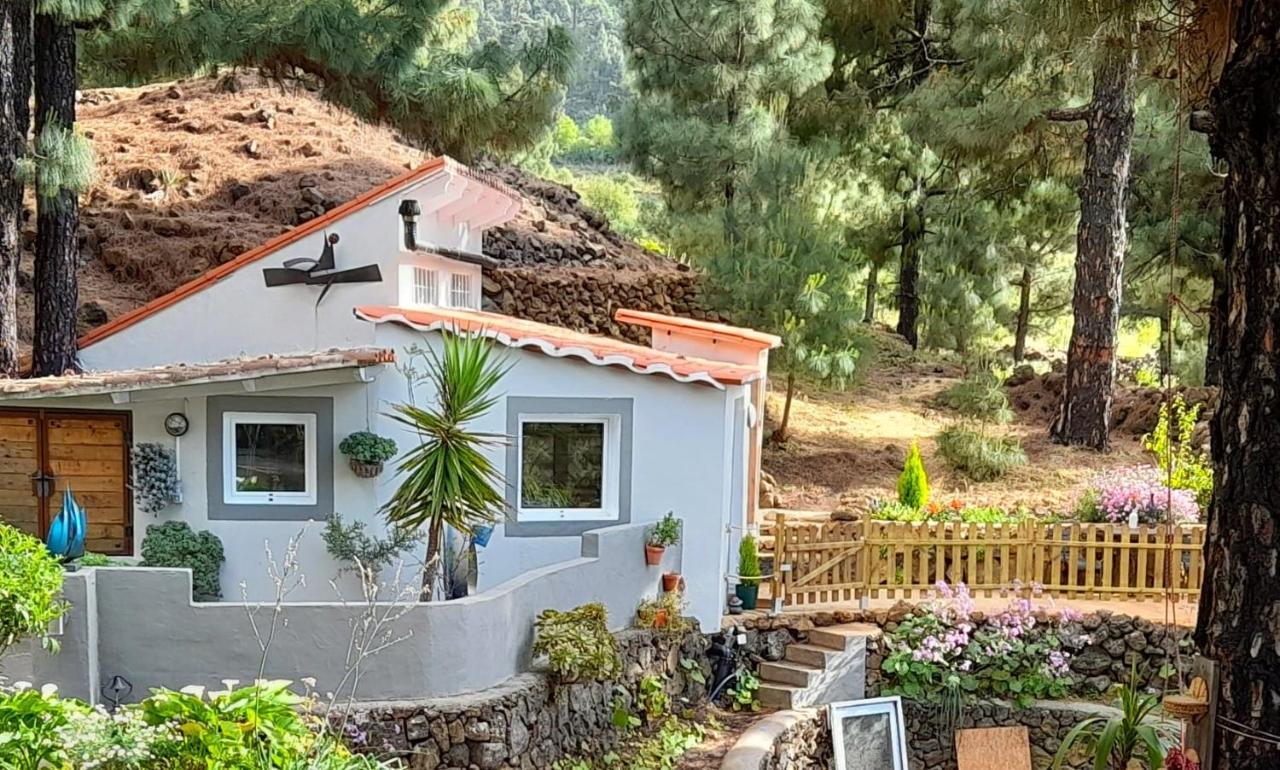 Casa Aguar: Acogedora Casa De Invitados En El Bosque Barrial Exterior foto