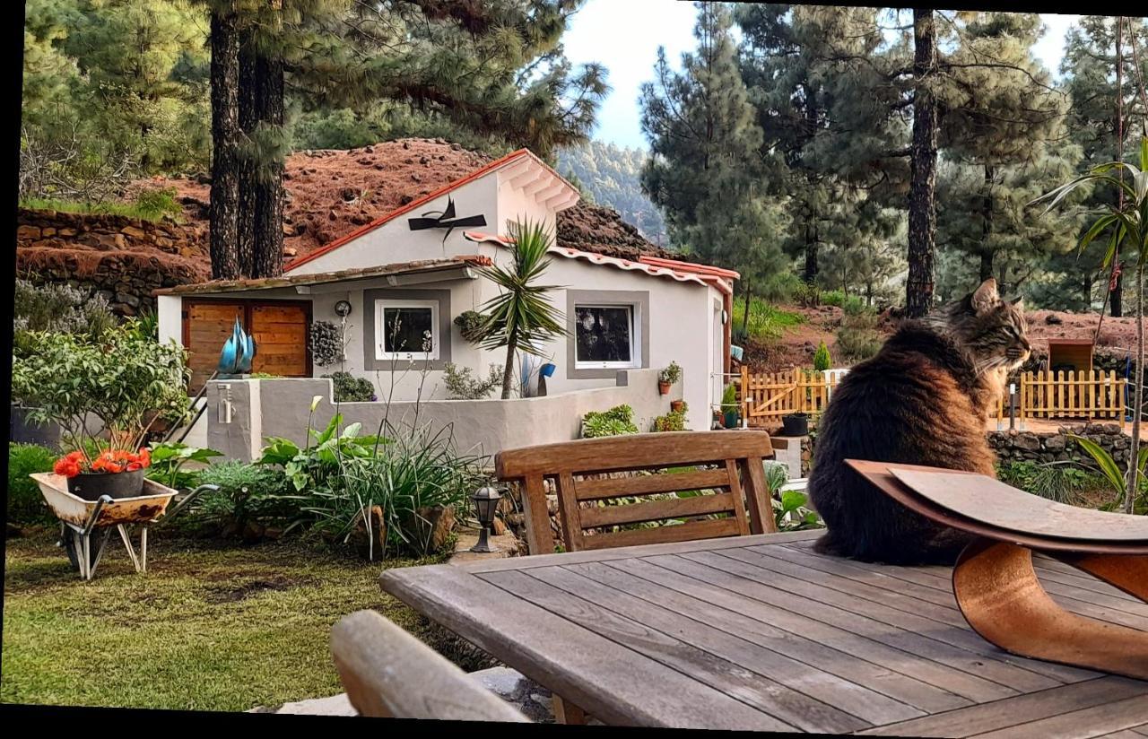 Casa Aguar: Acogedora Casa De Invitados En El Bosque Barrial Exterior foto