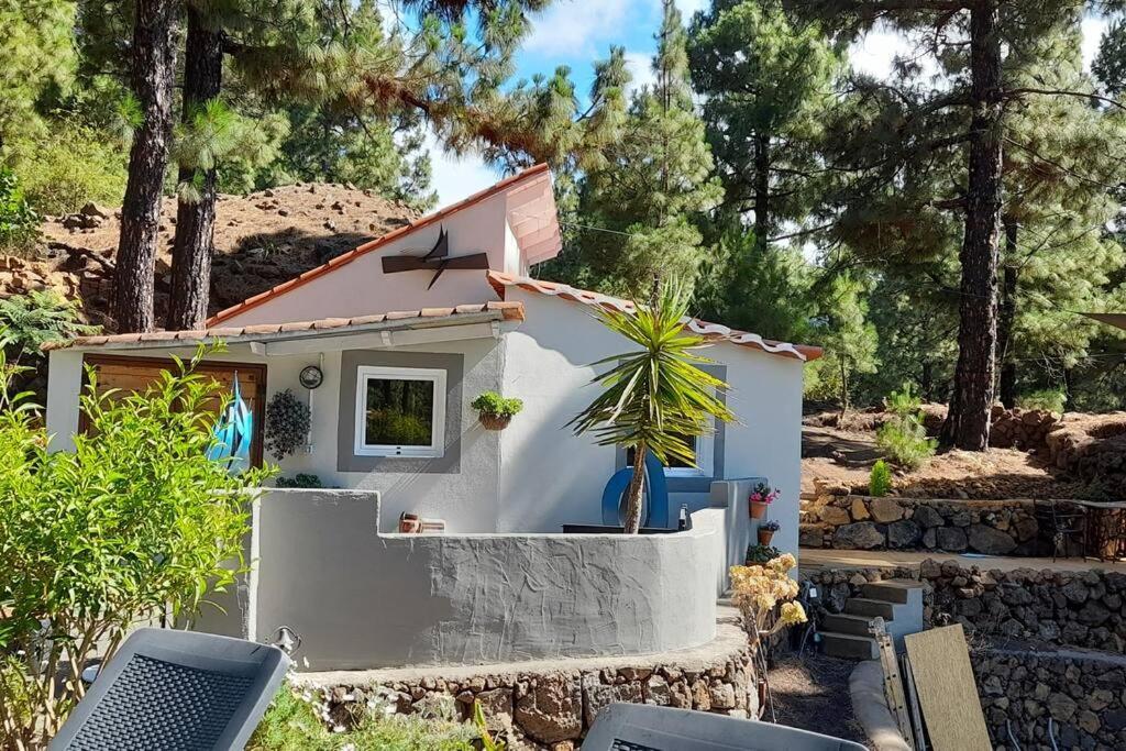 Casa Aguar: Acogedora Casa De Invitados En El Bosque Barrial Exterior foto